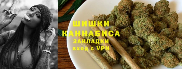 PSILOCYBIN Вязники